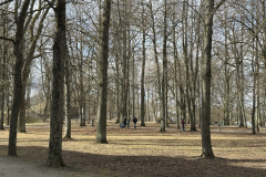IMG_6517